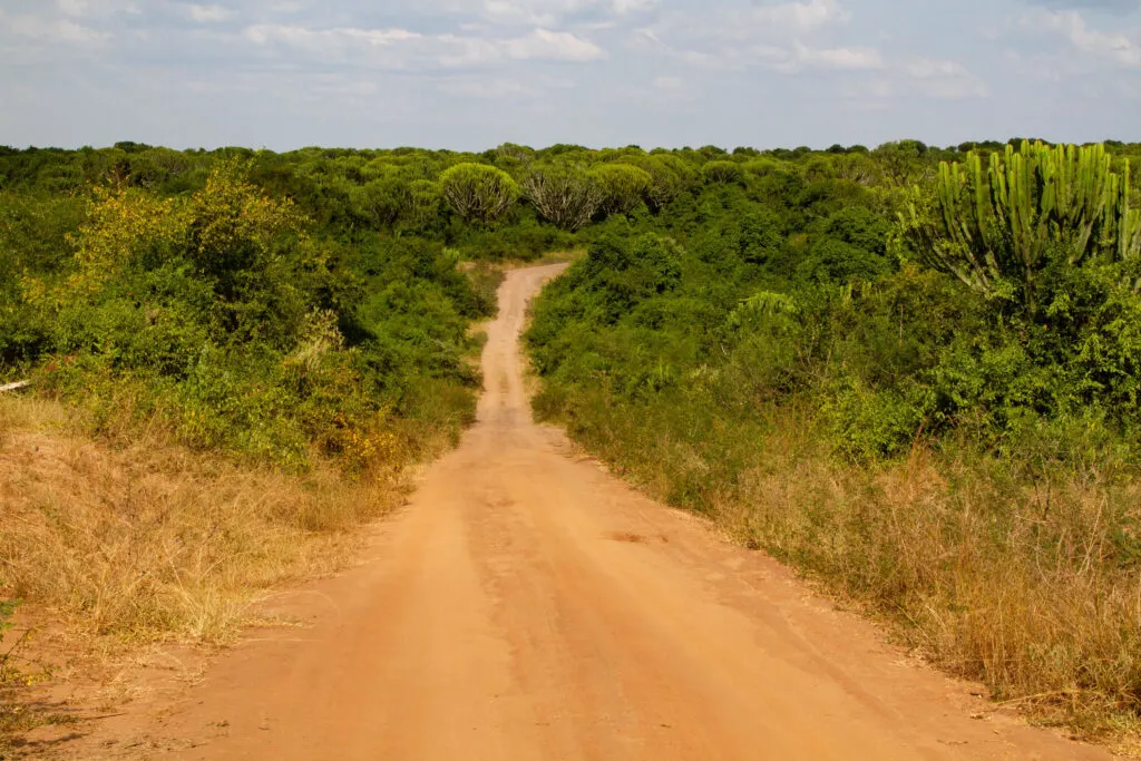 Road through Mburo National Park, one stop on our Uganda Road Trip.
