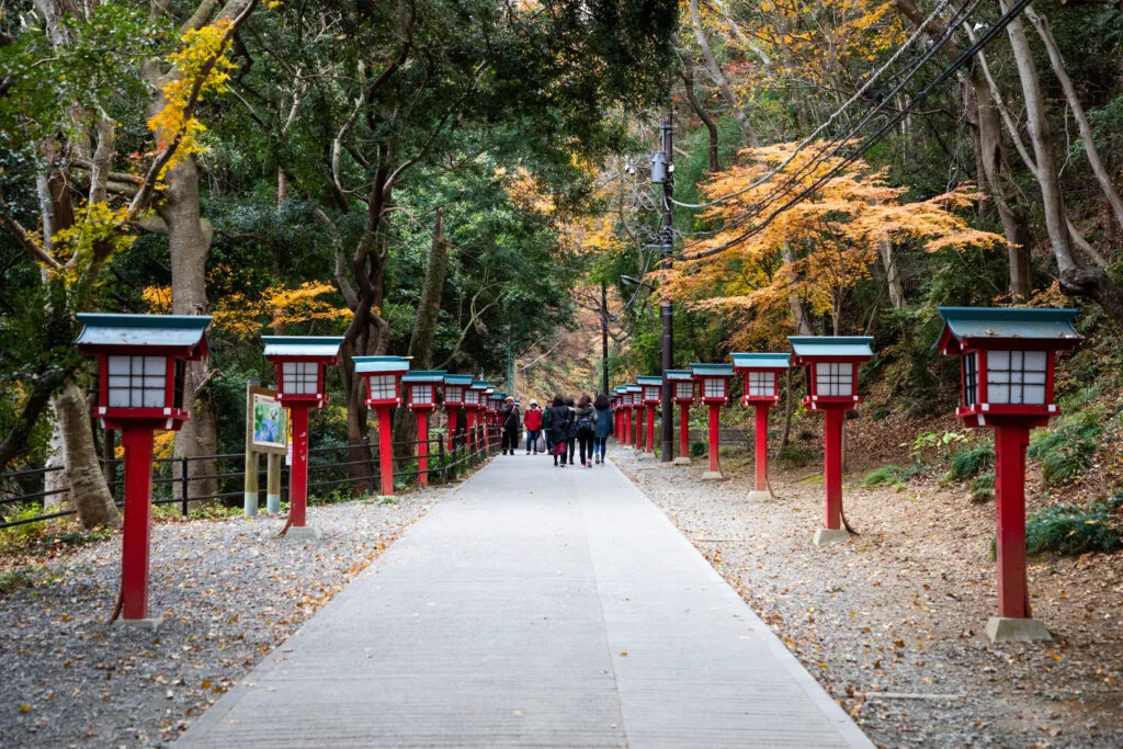 A walking path on Takaosan.