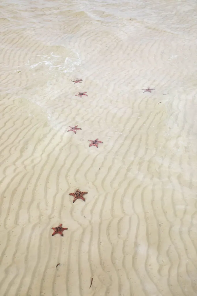 Starfish beach is one of the best beaches to visit on Phu Quoc.