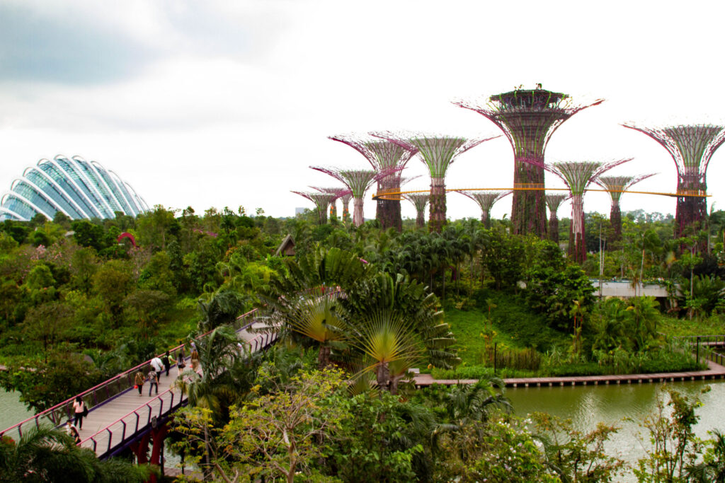 One of the most important things to do in Singapore is visit Gardens by the Bay and its SuperTree Grove.