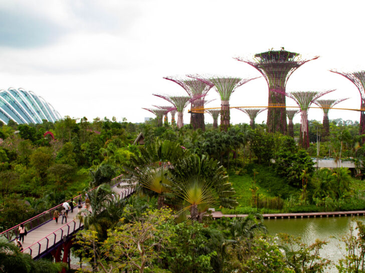 SuperTree Grove in Singapore - one of the best things to do.