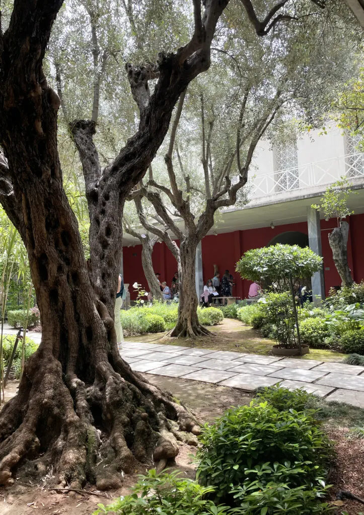 Garden courtyard with seating next to the Museum Café in the National Archaeological Museum in Athens.