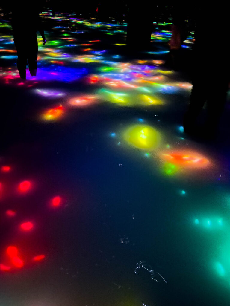 The Koi swimming through the water in TeamLab Planets.