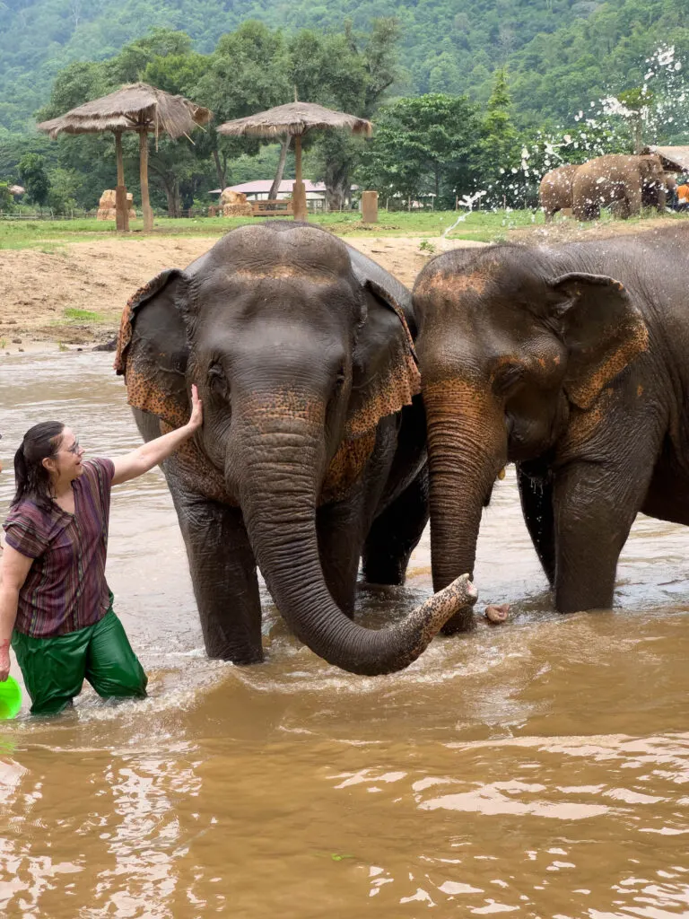 Getting wet with the elephants.