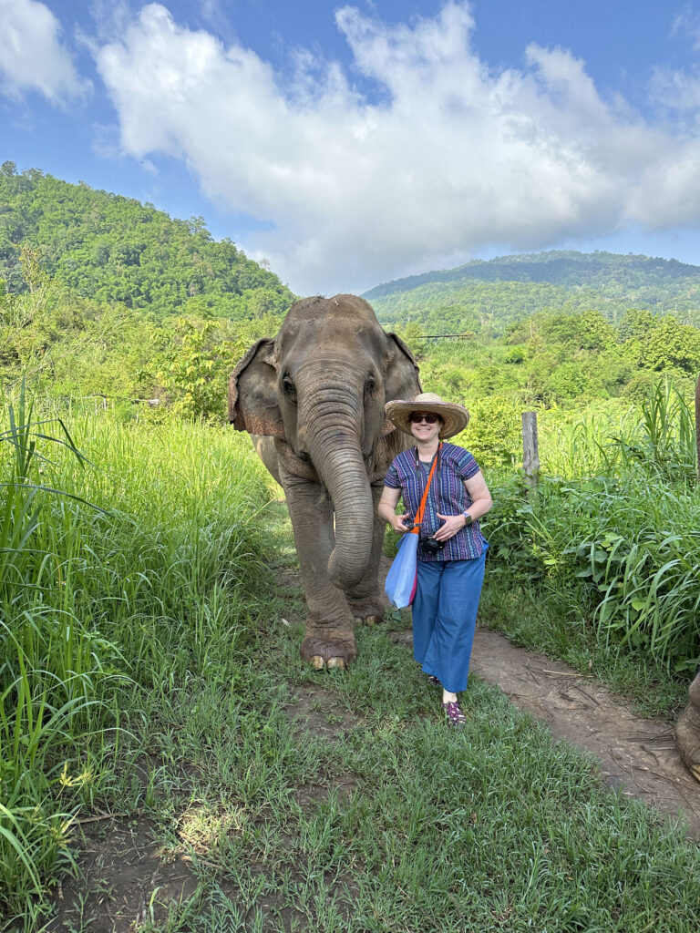 Ernestine on an elephant jungle walk near Chiang Mai, Thailand.