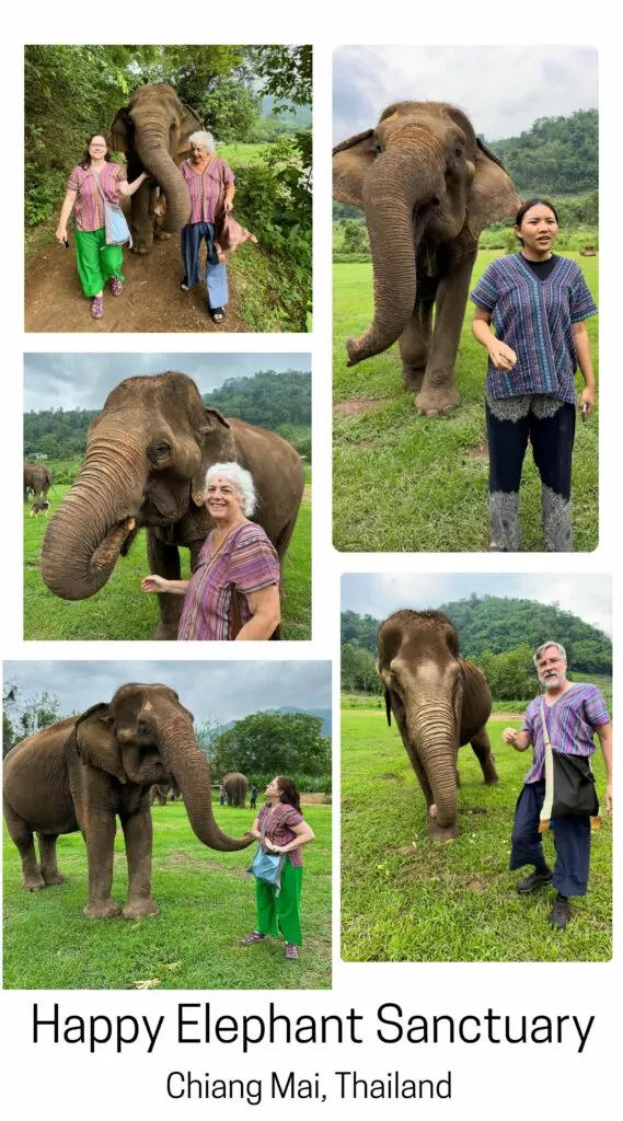 The Happy Elephant Sanctuary, an ethical choice in Thailand for enjoying elephants.