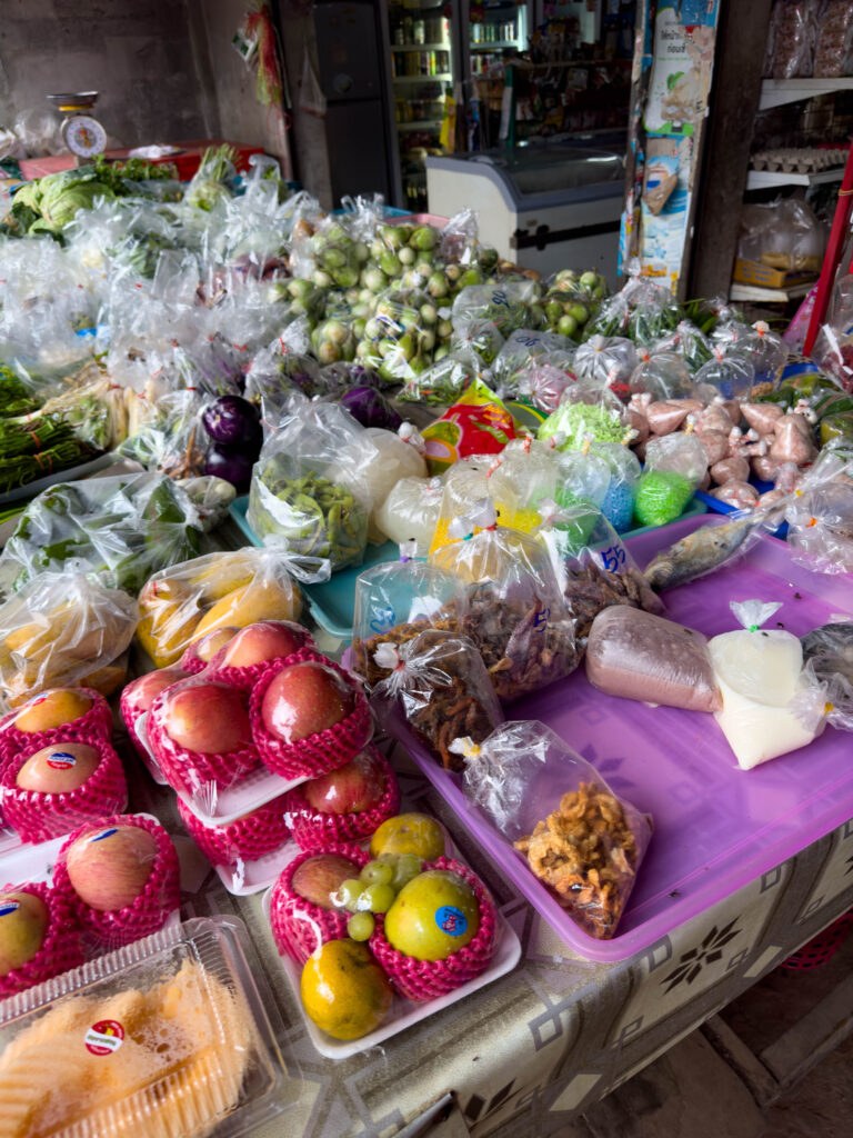 A local village grocery store near Chiang Mai, Thailand.